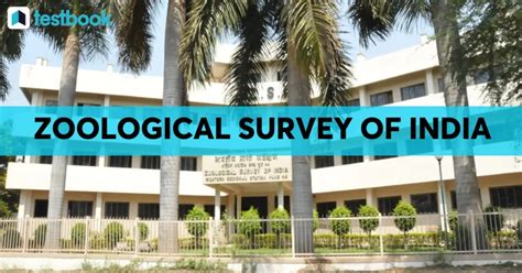  The Zoological Survey of India: A Window into India's Biodiversity!