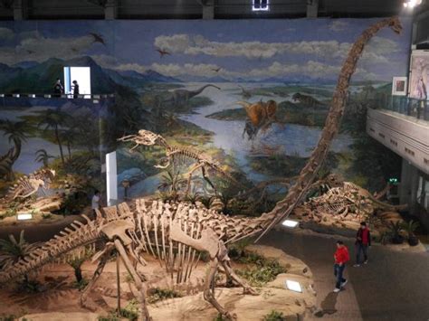  Huaibei Dinosaur Fossil Museum: Unearthing Prehistoric Wonders in Anhui Province!