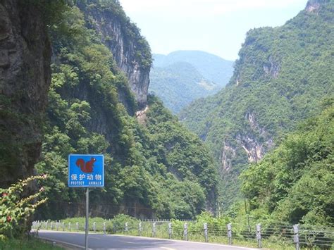 Sanmenxia Canyon Scenic Area Embraces Majestic Mountains and Turquoise Waters!