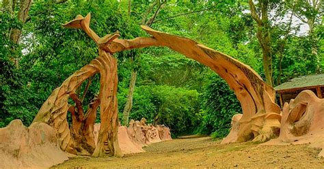 The Osun Osogbo Sacred Grove! A Mystical Journey Through History and Nature